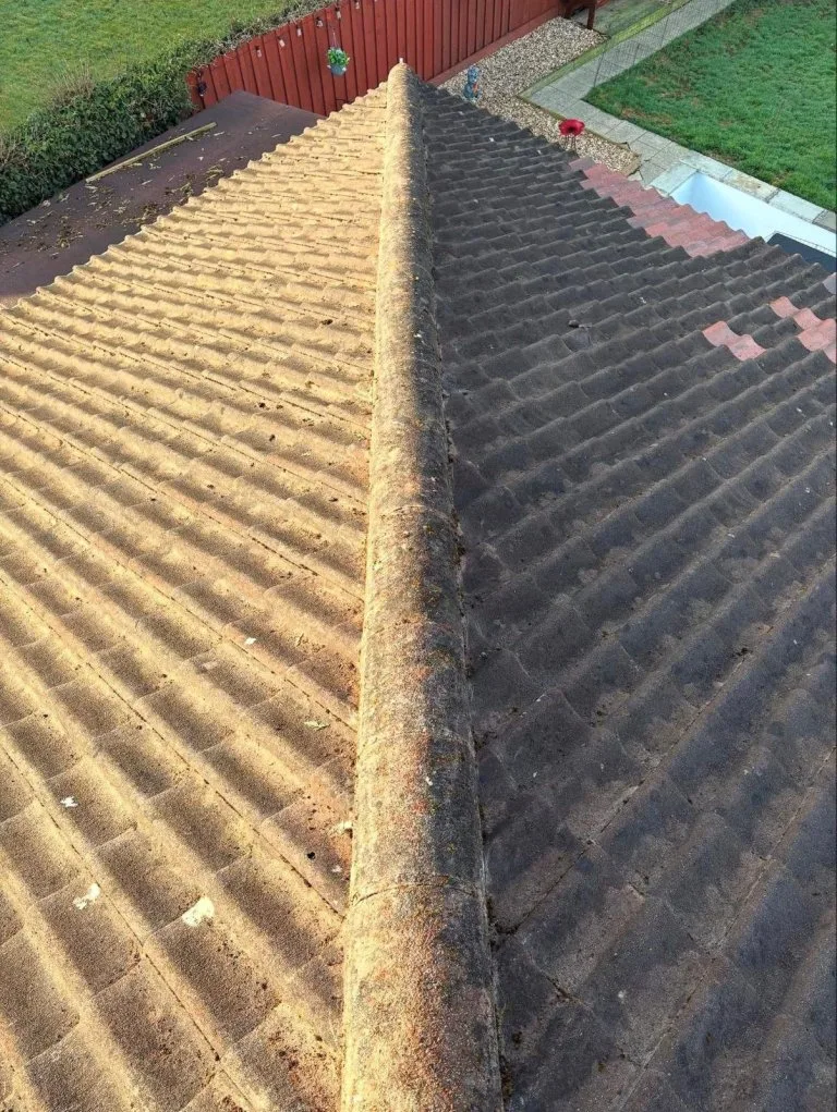 3bbc7a39-bd29-406d-8743-77a70c976aa3 – Copy - After