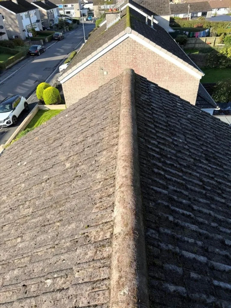 e4b26347-453e-42ca-b9f5-aa7f533867ef - After