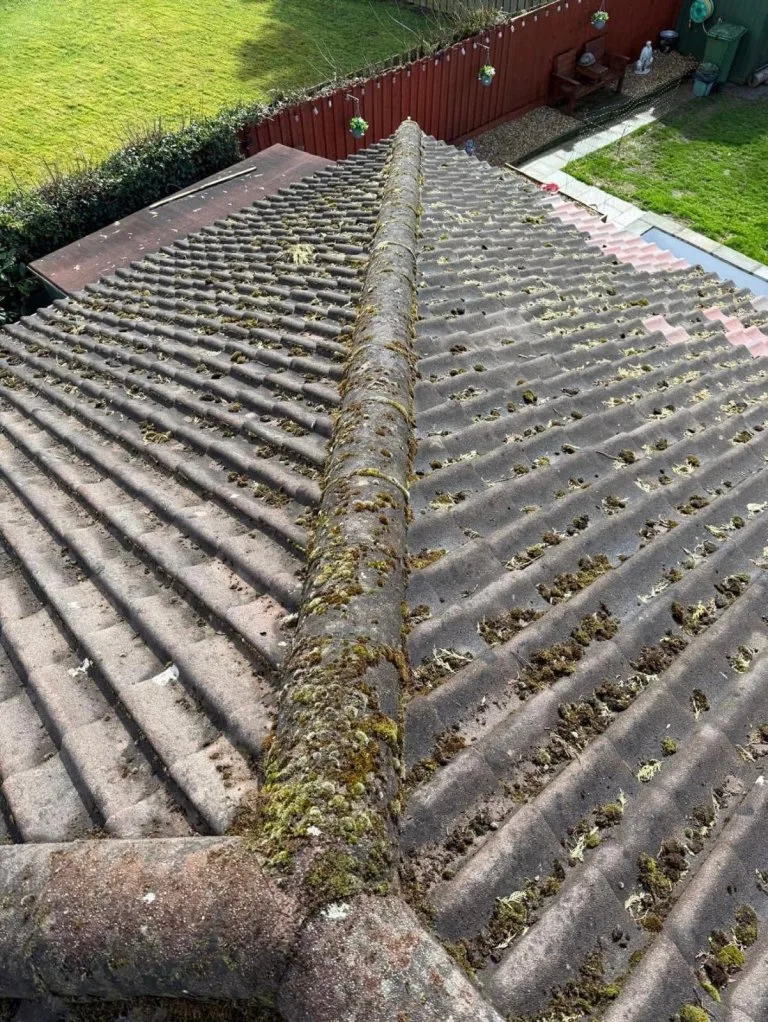 3bbc7a39-bd29-406d-8743-77a70c976aa3 – Copy - Before