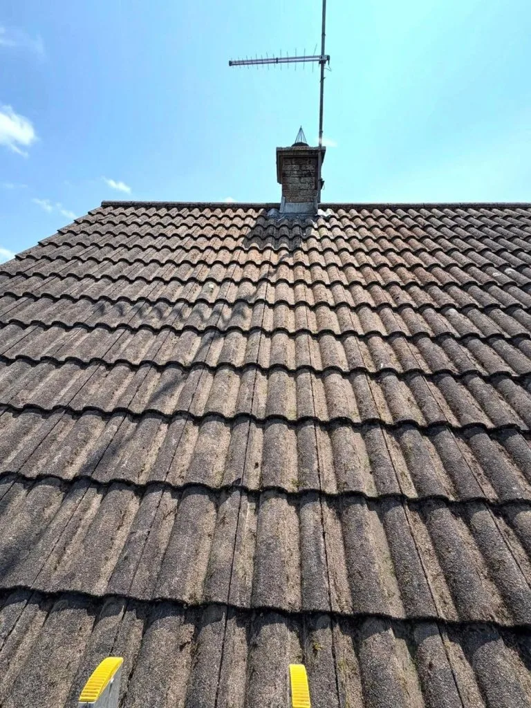 99731db6-e5cb-430f-aaa7-c9fdf939404b – Copy - After