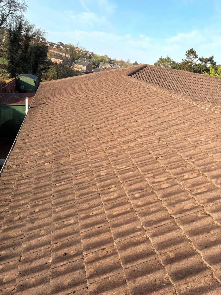 a68a94ca-650f-4d50-98be-2718cf04e552 - After