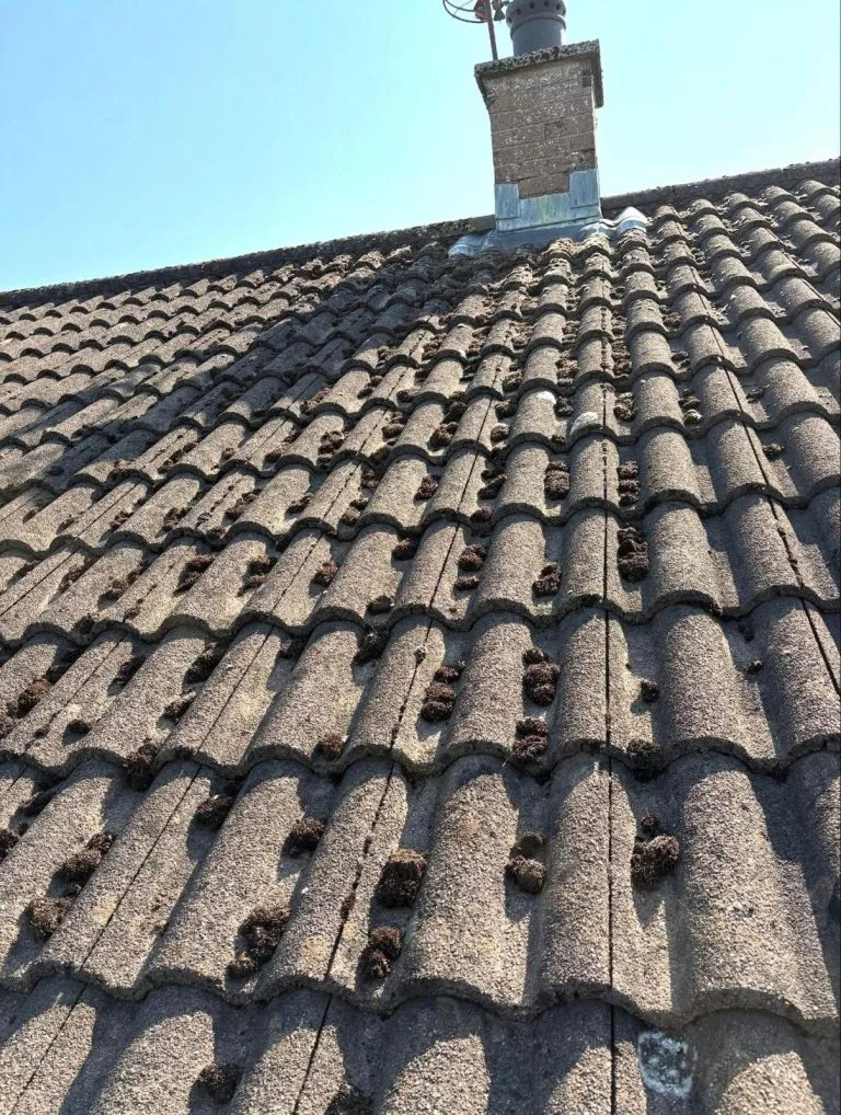 98e4dd7d-db89-454e-a9bc-60e5567a690b - Before