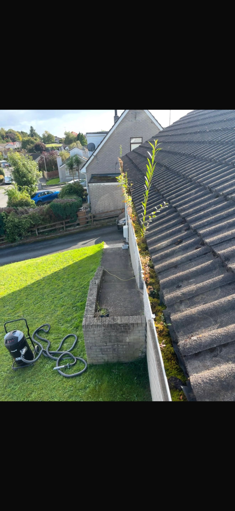 IMG_4373(1) - Before