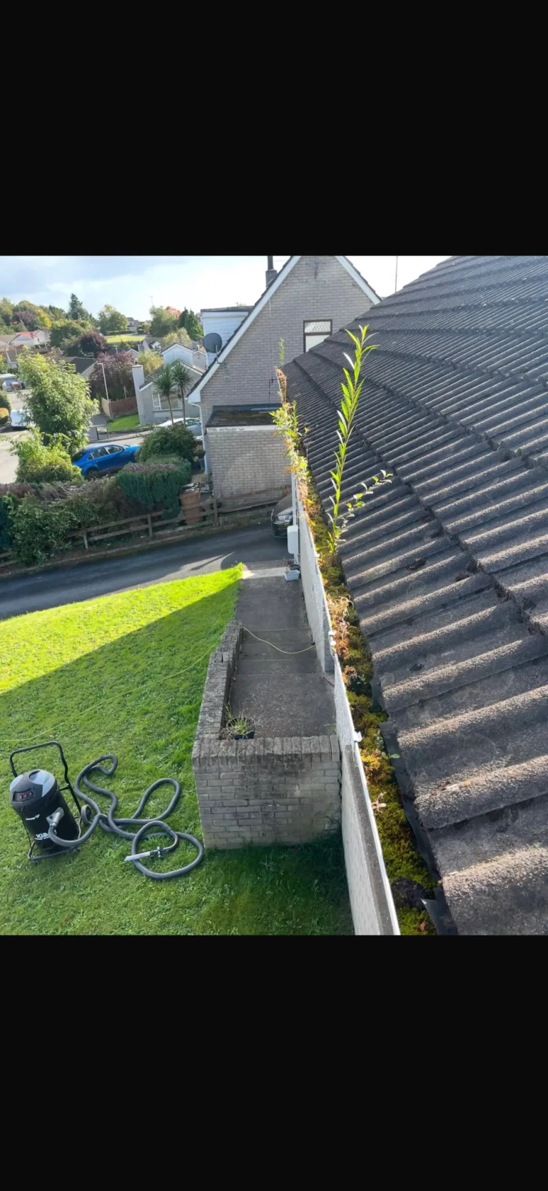 IMG_4373(1) - Before