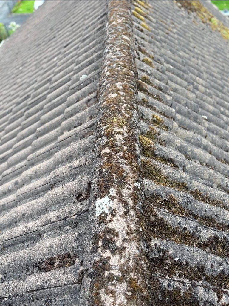 WhatsApp Image 2026-02-11 at 14.48.37 (6) - Before