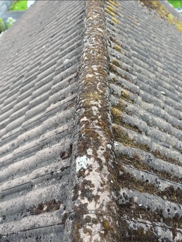 WhatsApp Image 2026-02-11 at 14.48.37 (6) - Before