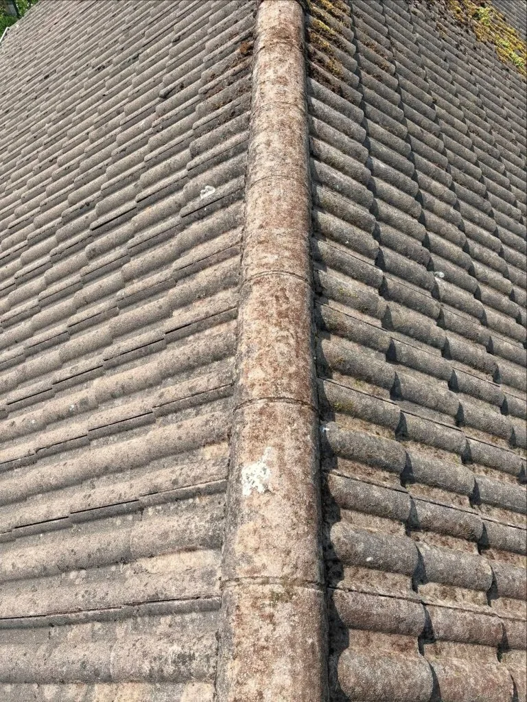 WhatsApp Image 2026-02-11 at 14.48.37 (6) - After