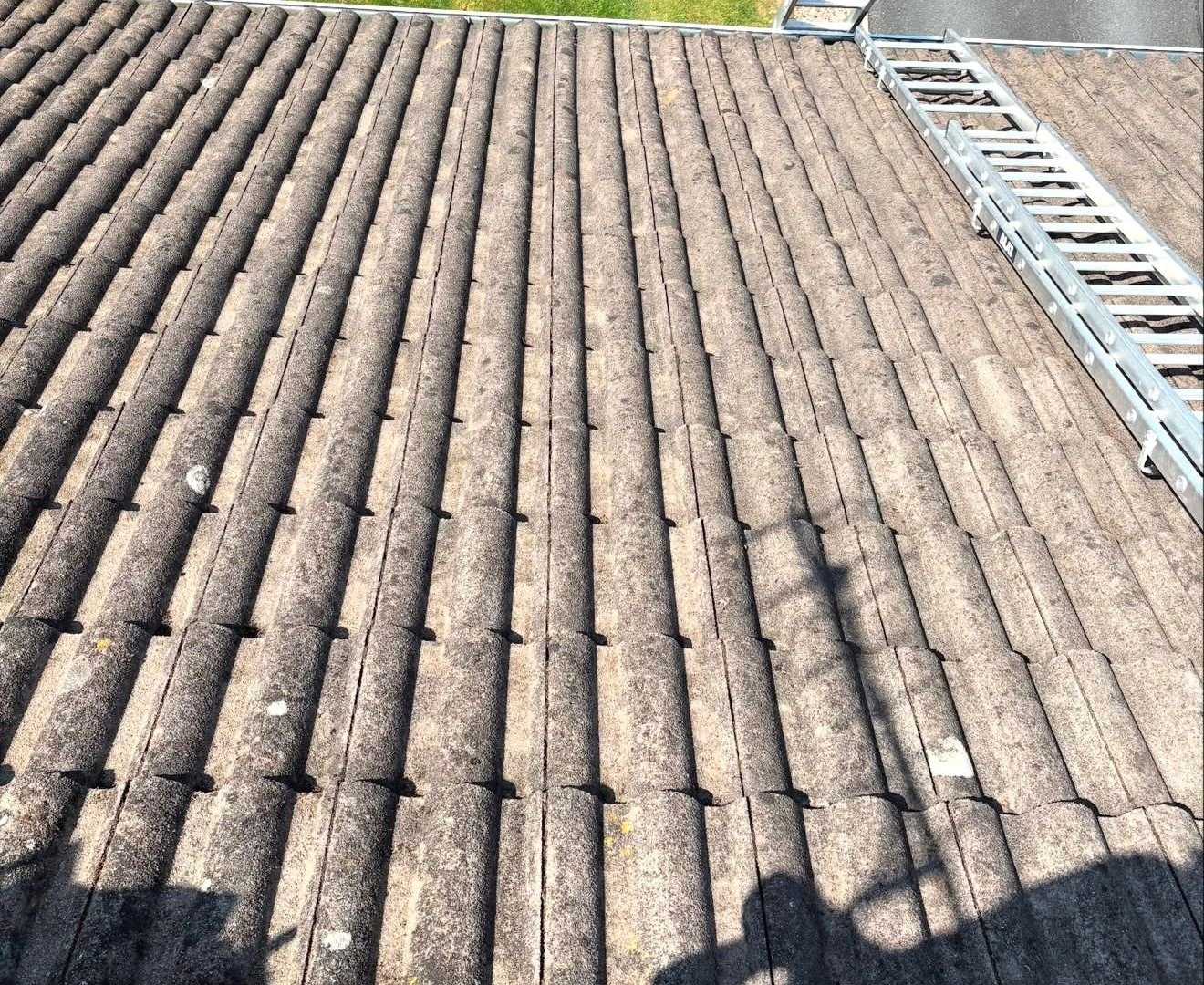 Roof Cleaning