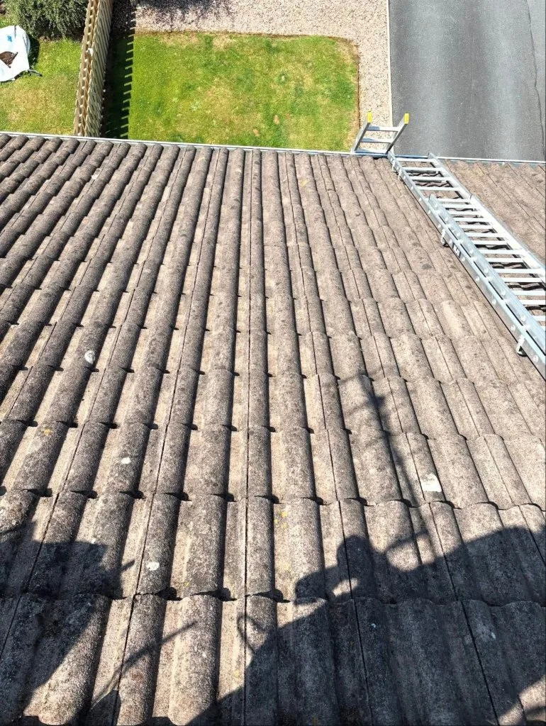 Roof Cleaning