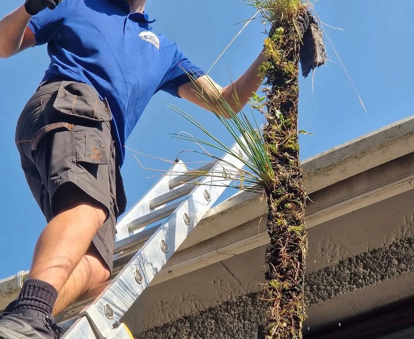 Gutter Cleaning
