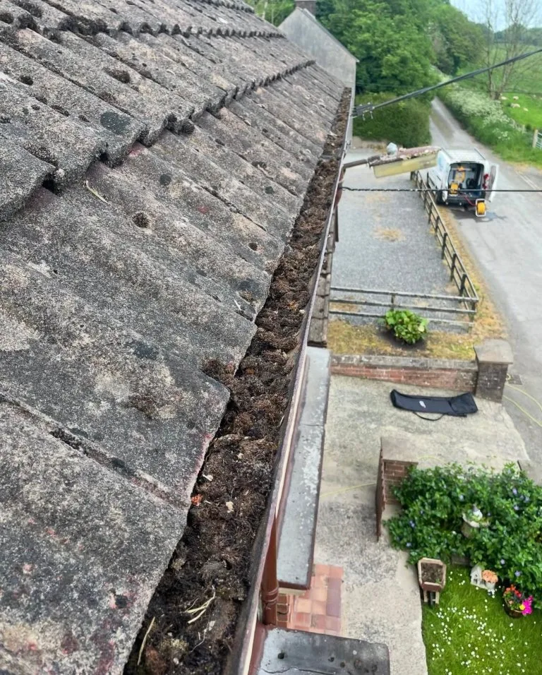 WhatsApp Image 2026-02-11 at 14.58.34 (3) - Before