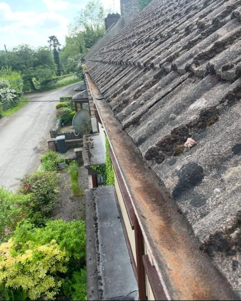 WhatsApp Image 2026-02-11 at 14.58.34 (3) - After