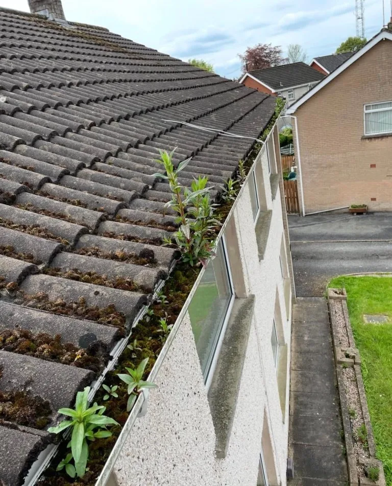 WhatsApp Image 2026-02-11 at 14.58.34 (5) - Before