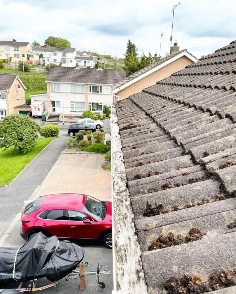 WhatsApp Image 2026-02-11 at 14.58.34 (5) - After