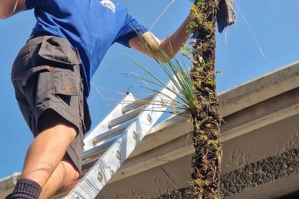 Gutter Cleaning