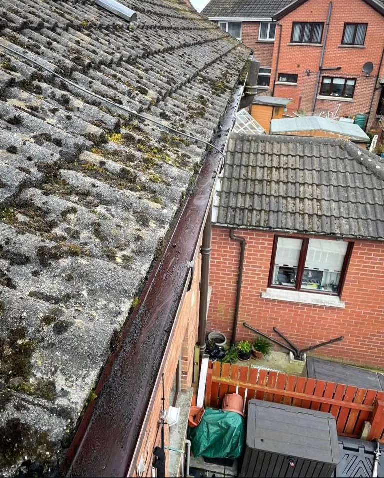 WhatsApp Image 2026-02-11 at 14.58.35 - After