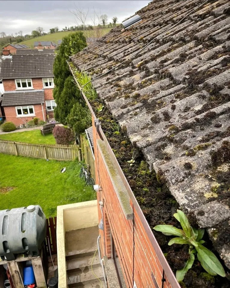 WhatsApp Image 2026-02-11 at 14.58.35 - Before