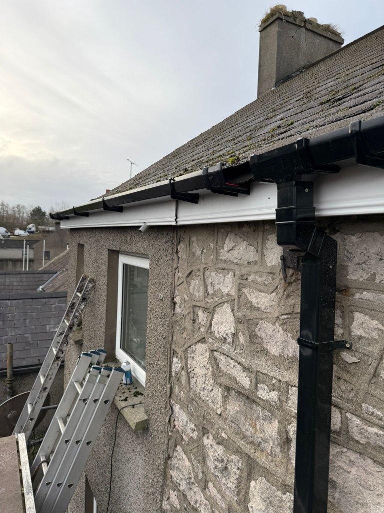 WhatsApp Image 2026-02-11 at 15.42.36 (1)