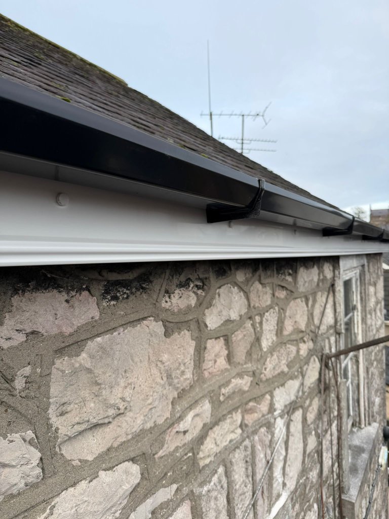 WhatsApp Image 2026-02-11 at 15.42.36 (3)