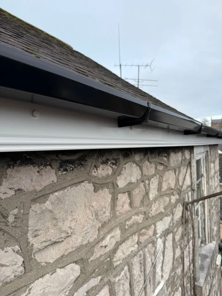 WhatsApp Image 2026-02-11 at 15.42.36 (3)