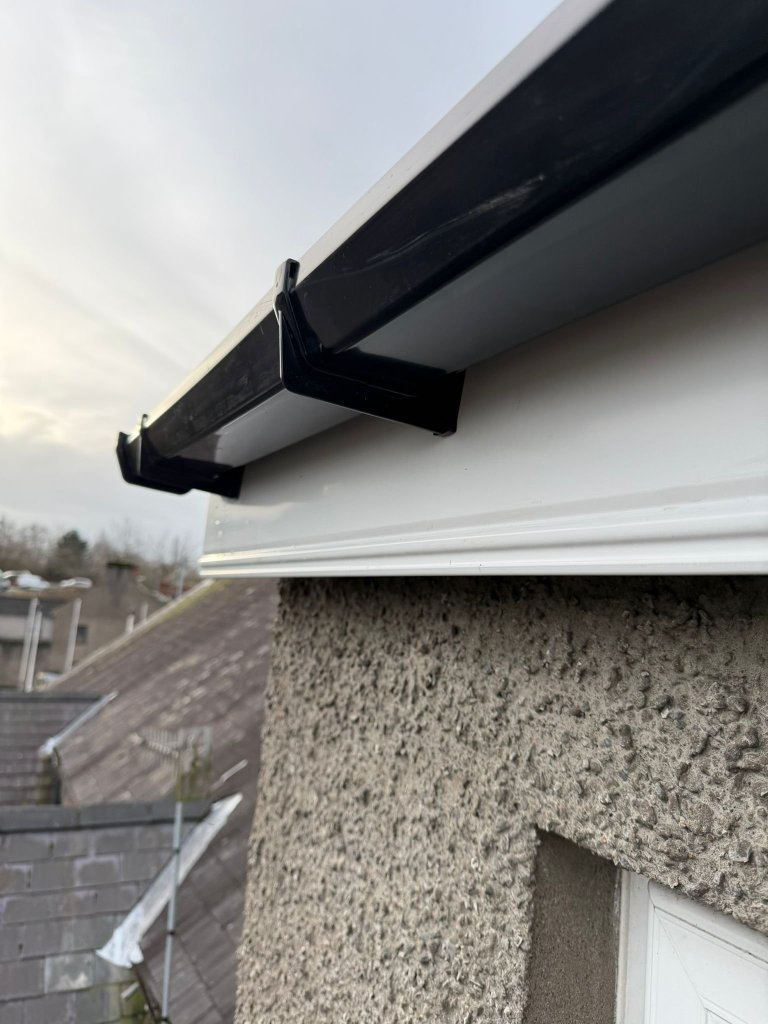 WhatsApp Image 2026-02-11 at 15.42.36 (4)