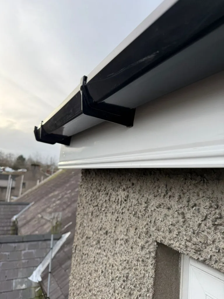 WhatsApp Image 2026-02-11 at 15.42.36 (4)