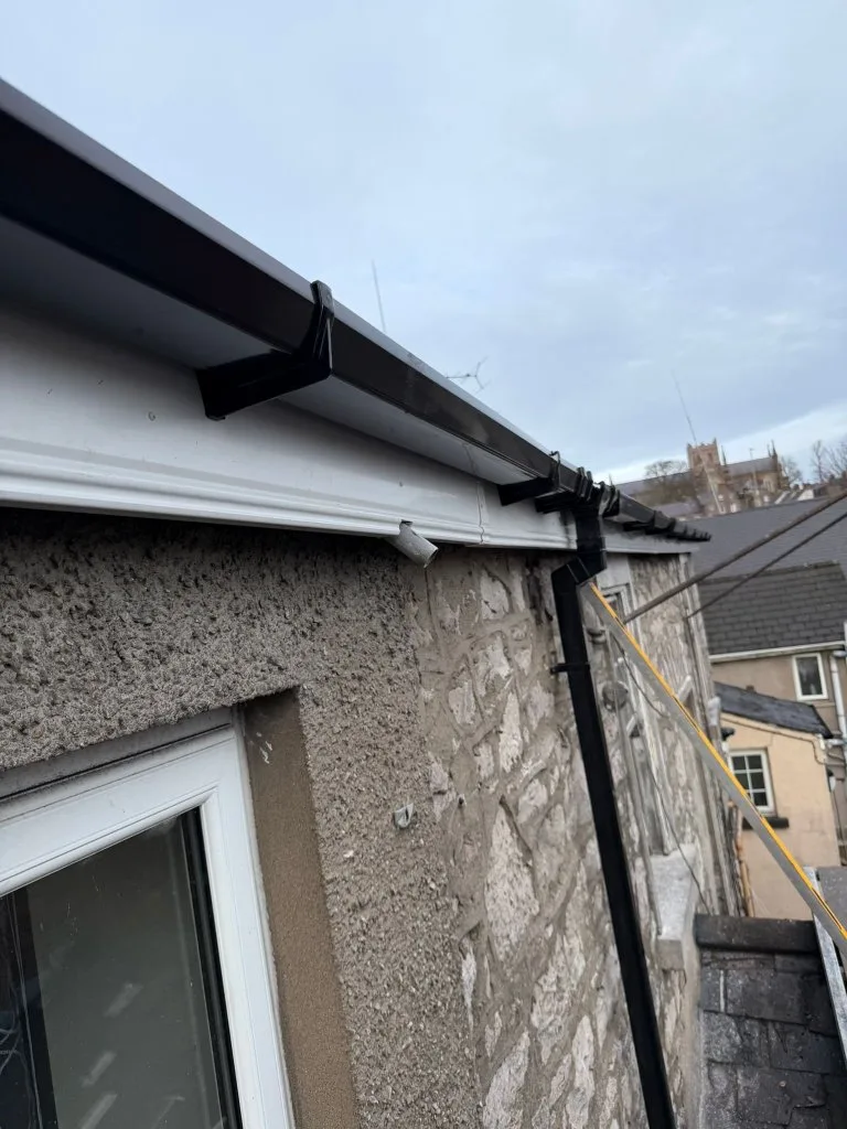 WhatsApp Image 2026-02-11 at 15.42.36 (5)