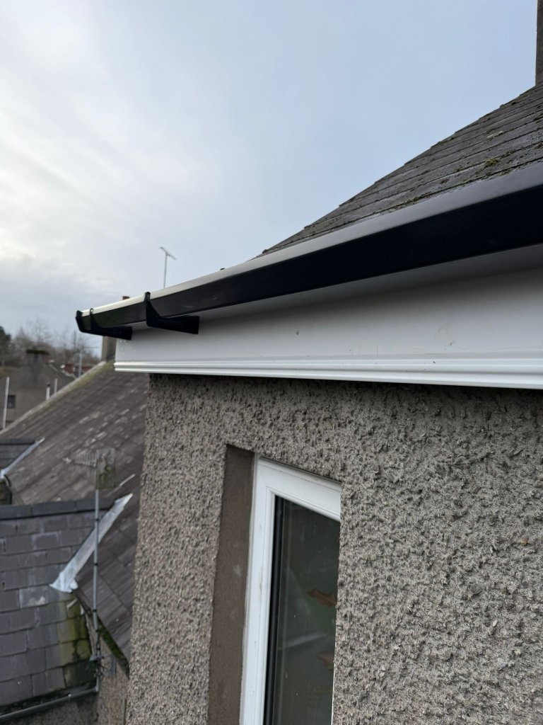 WhatsApp Image 2026-02-11 at 15.42.36