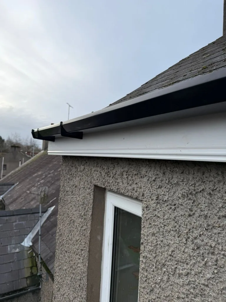 WhatsApp Image 2026-02-11 at 15.42.36