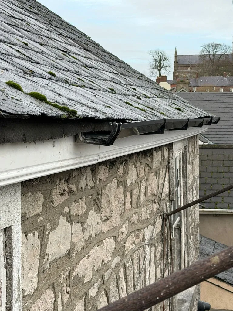 WhatsApp Image 2026-02-11 at 15.42.37