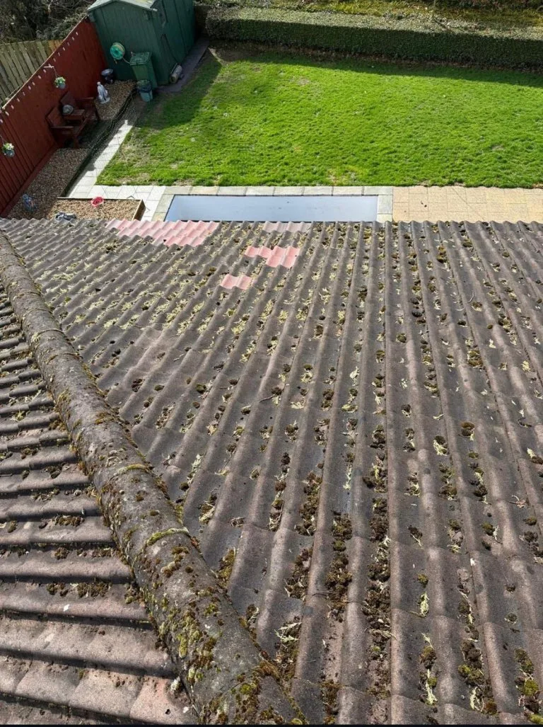 a68a94ca-650f-4d50-98be-2718cf04e552 - Before