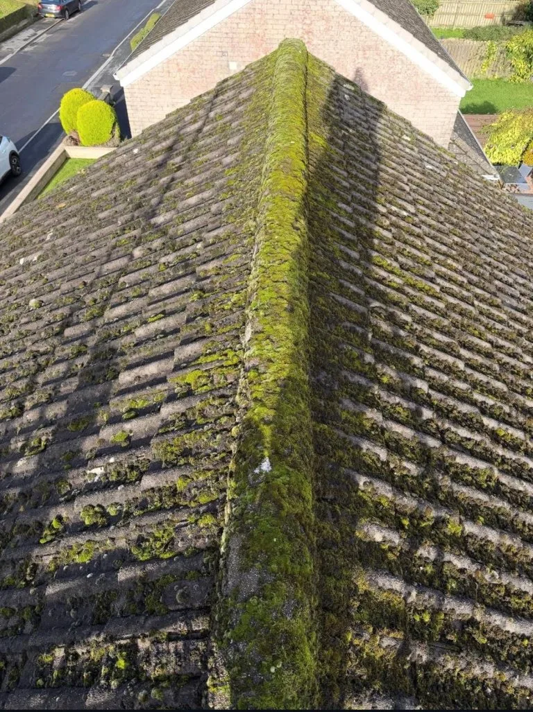 e4b26347-453e-42ca-b9f5-aa7f533867ef - Before